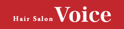 hair salon voice
